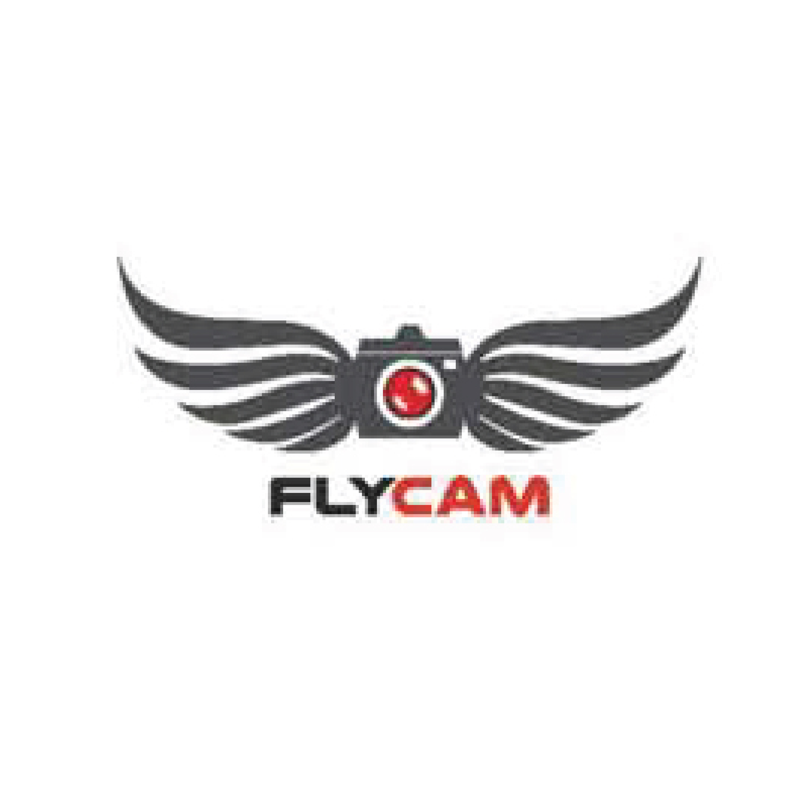 Fly Cam Logo